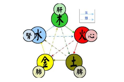 五行相克|五行（对万事万物的取象比类）